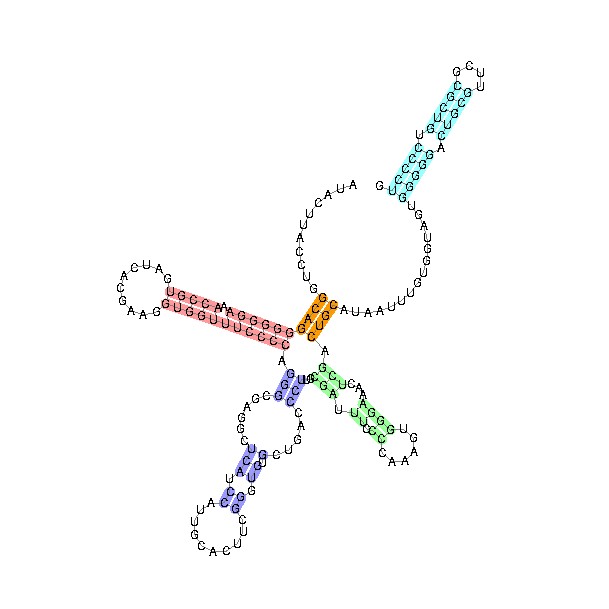 U1_spliceosomal_RNA (8K)