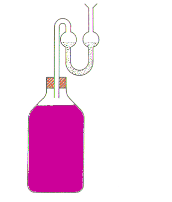 demijohn with fermentaion lock